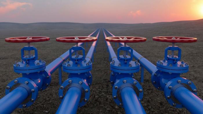 Η Ρωσία εκτιμά τη στάσης της Ιταλίας για το ουκρανικό και είναι έτοιμη να τη συνδράμει με αυξημένες ποσότητες φυσικού αερίου.