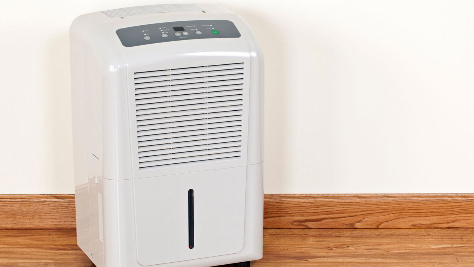 Υποφέρεις από αλλεργία και υγρασία στο σπίτι - Πάρε αφυγραντήρα