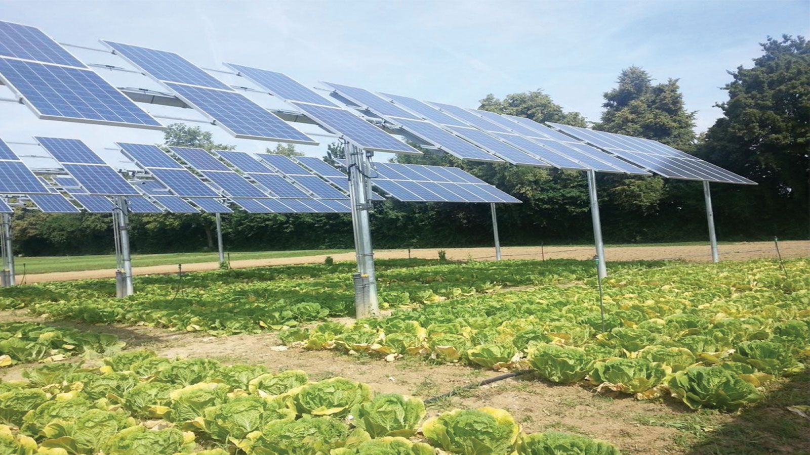 Αγροτικά Φωτοβολταϊκά: Οδηγός για εγκατάσταση, επιδοτήσεις και οικονομικό όφελος 