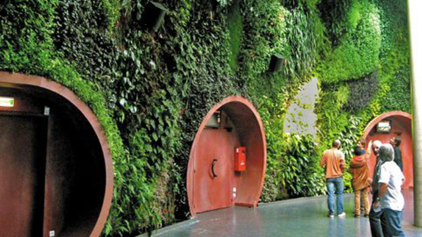 Patrick Blanc, Astralia - Cité de lΆEspace, Τουλούζ