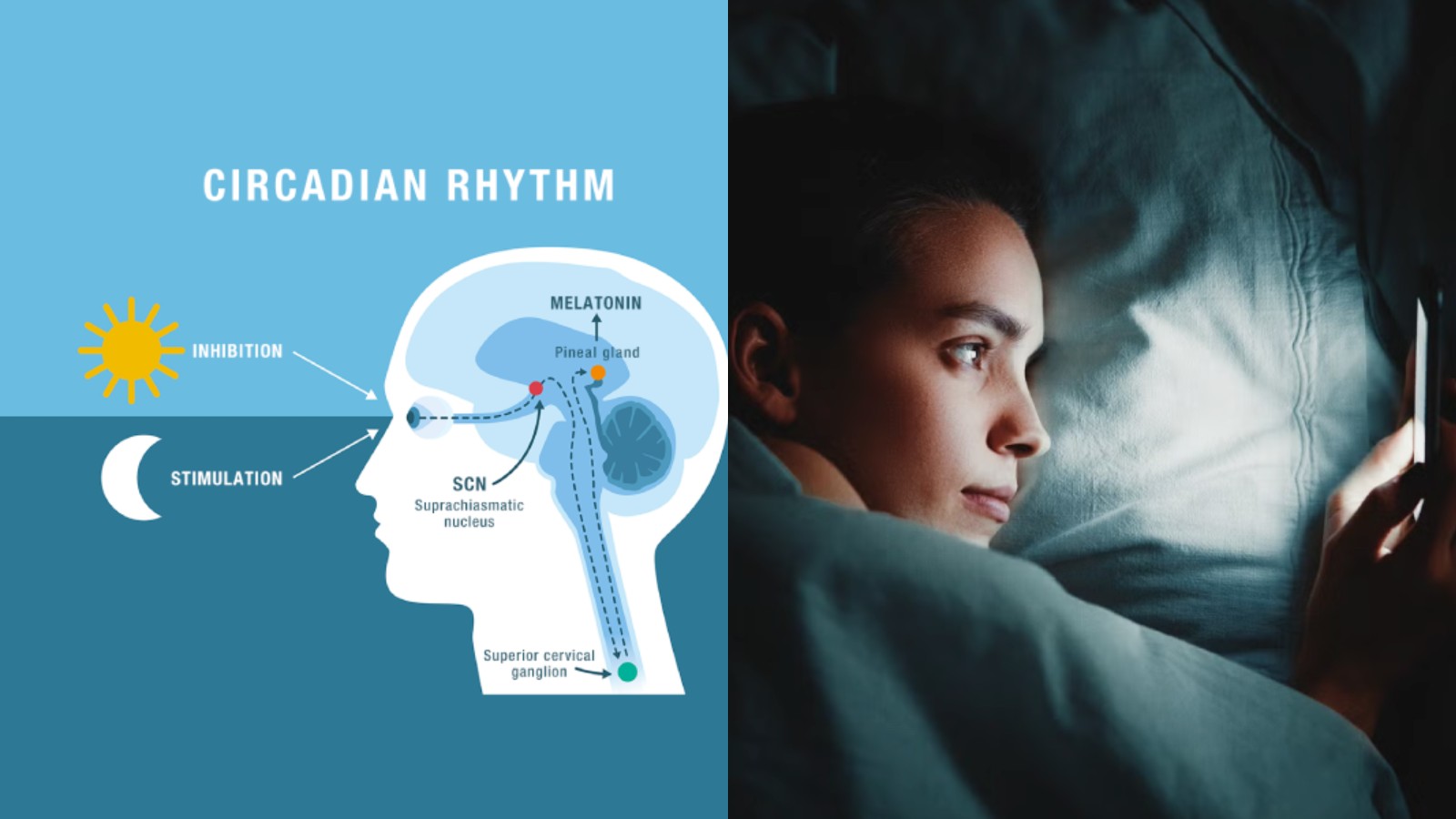 Παγκόσμια Ημέρα Φωτός: Εκδήλωση για το φως & τη βιολογική μας ισορροπία.