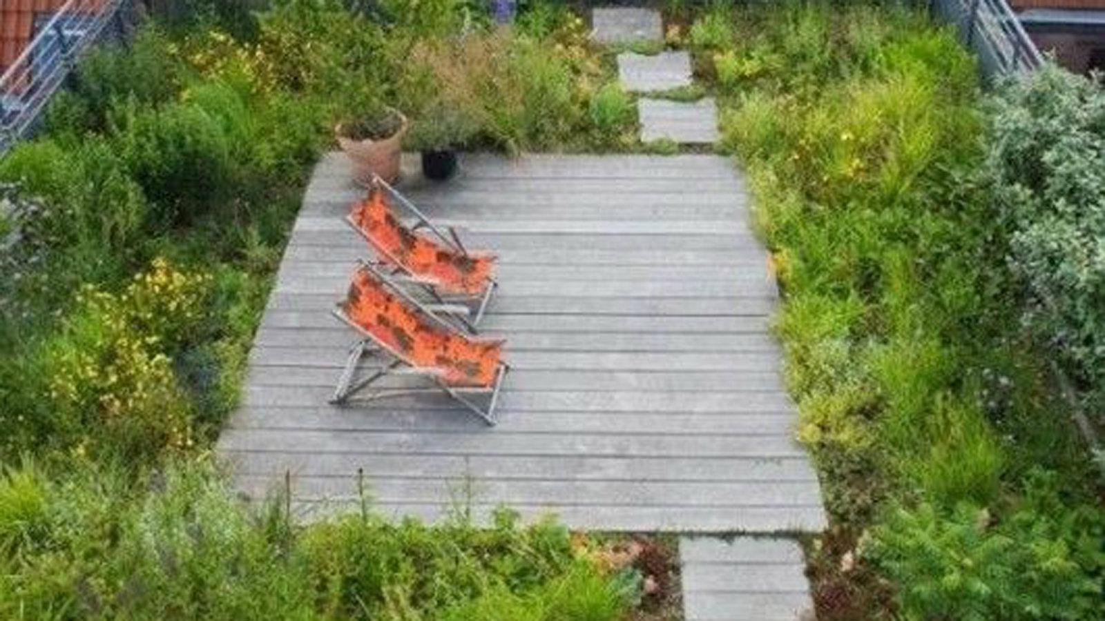 Οι πράσινες οροφές σας προστατεύουν από την έντονη ηλιακή ακτινοβολία το Καλοκαίρι και είναι έναντι των θερμικών απωλειών  τον Χειμώνα.