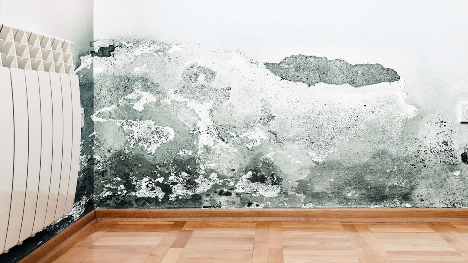 Αφυγραντήρας νέας γενιάς: Παρελθόν υγρασία & μούχλα στο σπίτι