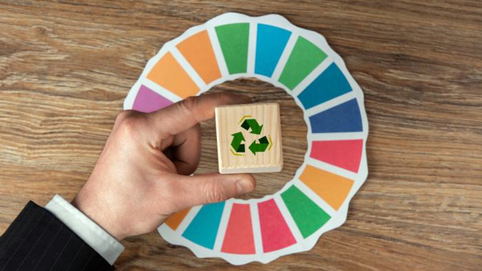 Φωτογραφία με φυσικά οικολογικά δομικά υλικά όπως ξύλο, φελλό και πέτρα σε σύγχρονη κατοικία.