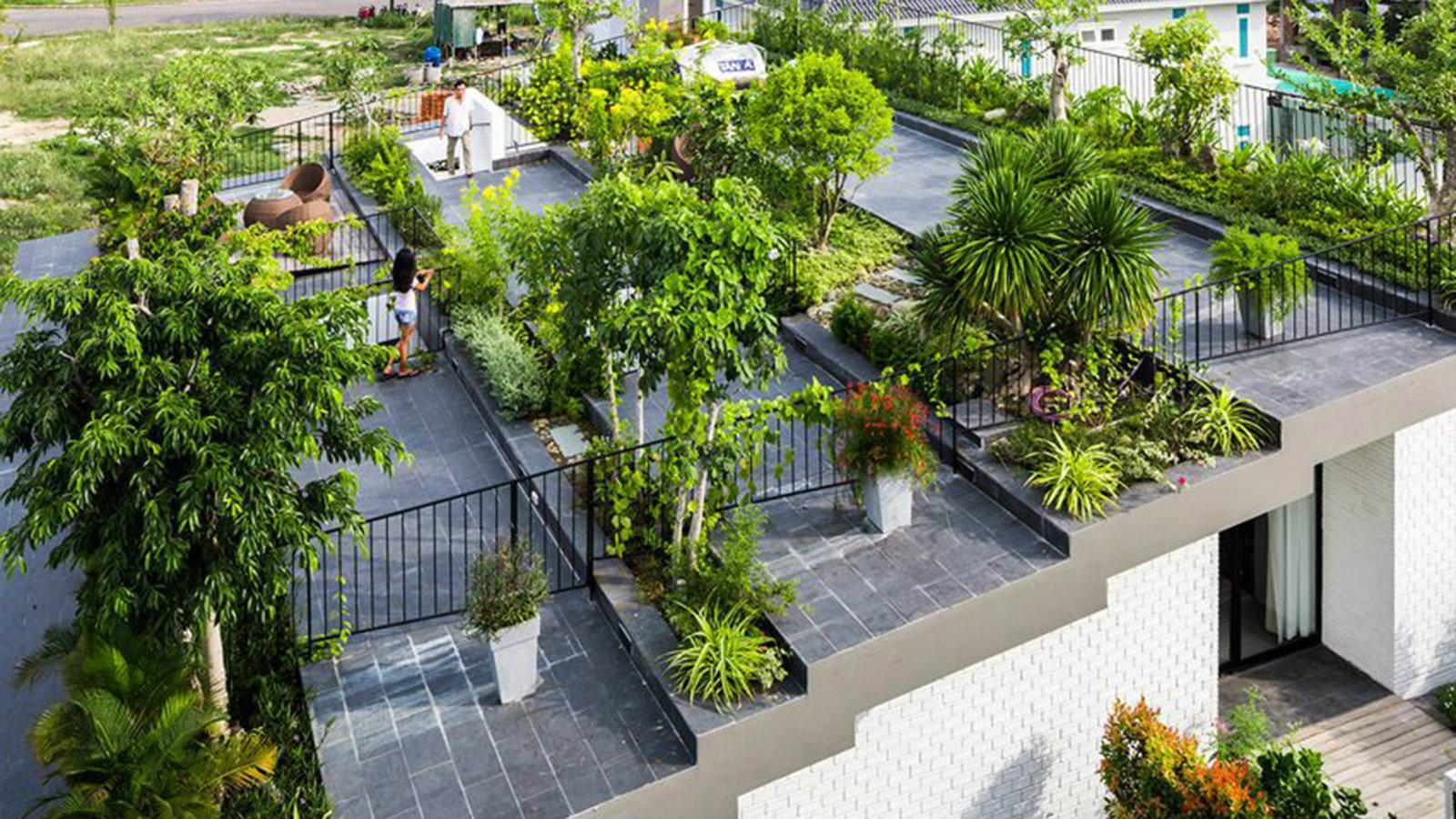 Με μία πράσινη ταράτσα, μονώνεις και κερδίζεις.