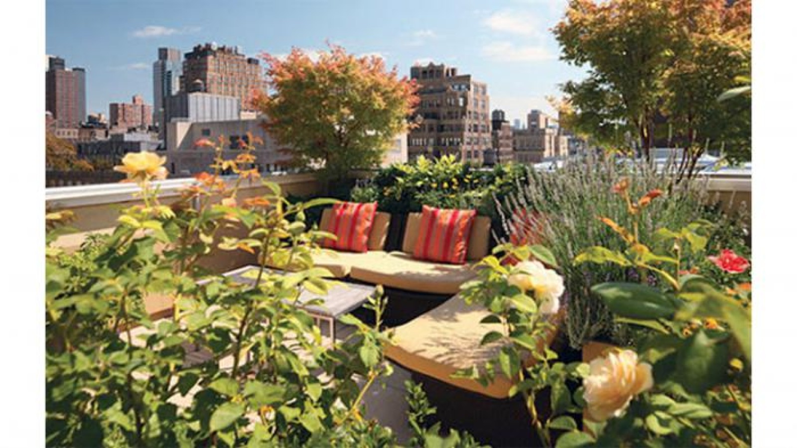 Πράσινη ταράτσα: Απόλαυση για σένα, εξοικονόμηση για το σπίτι.