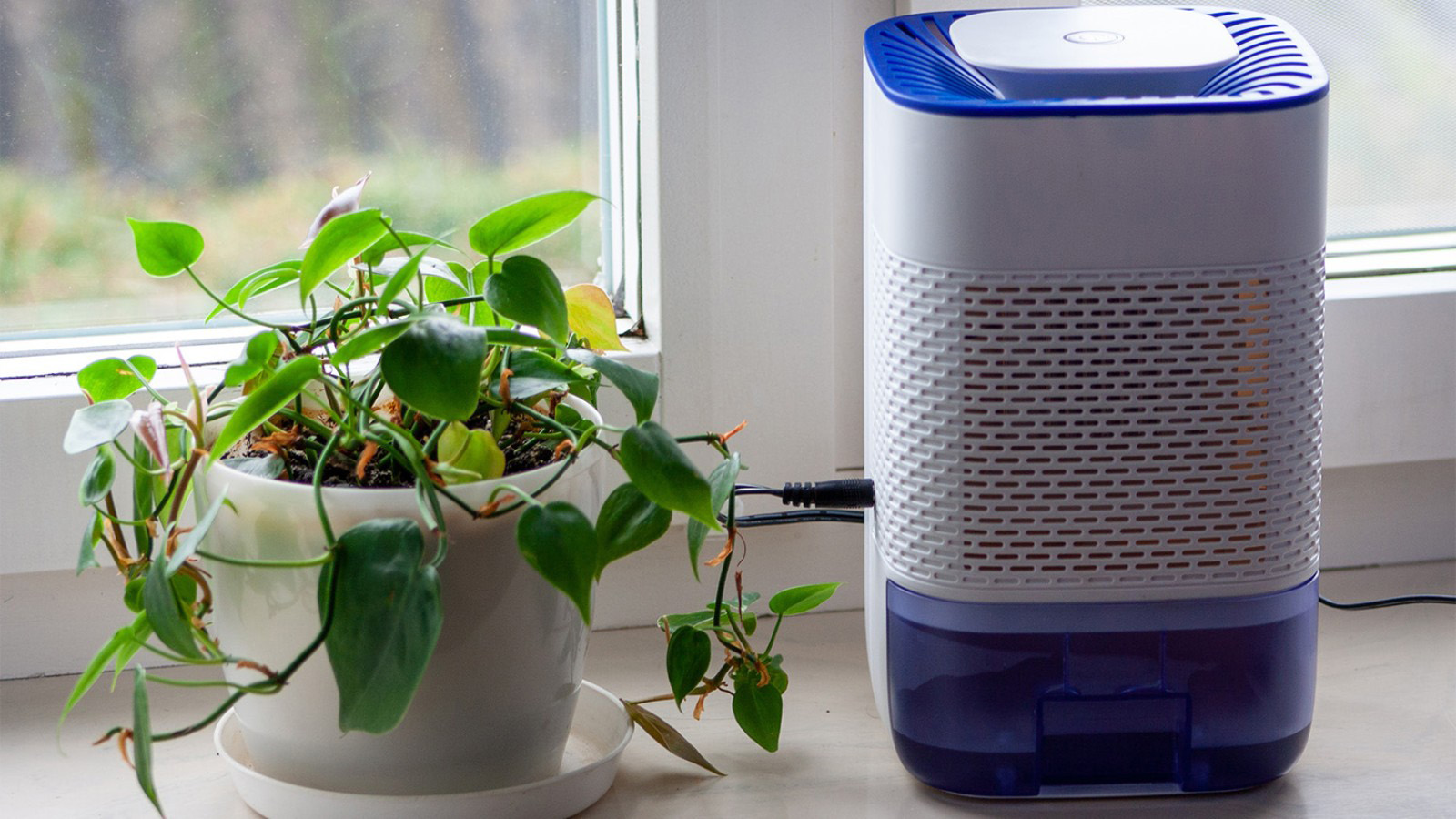 Ένας αφυγραντήρας καινούριας τεχνολογίας μειώνει τα επίπεδα υγρασίας του σπιτιού, αλλά και τα έξοδα θέρμανσης και ηλεκτρικού ρεύματος. Κάνει δουλειά, 