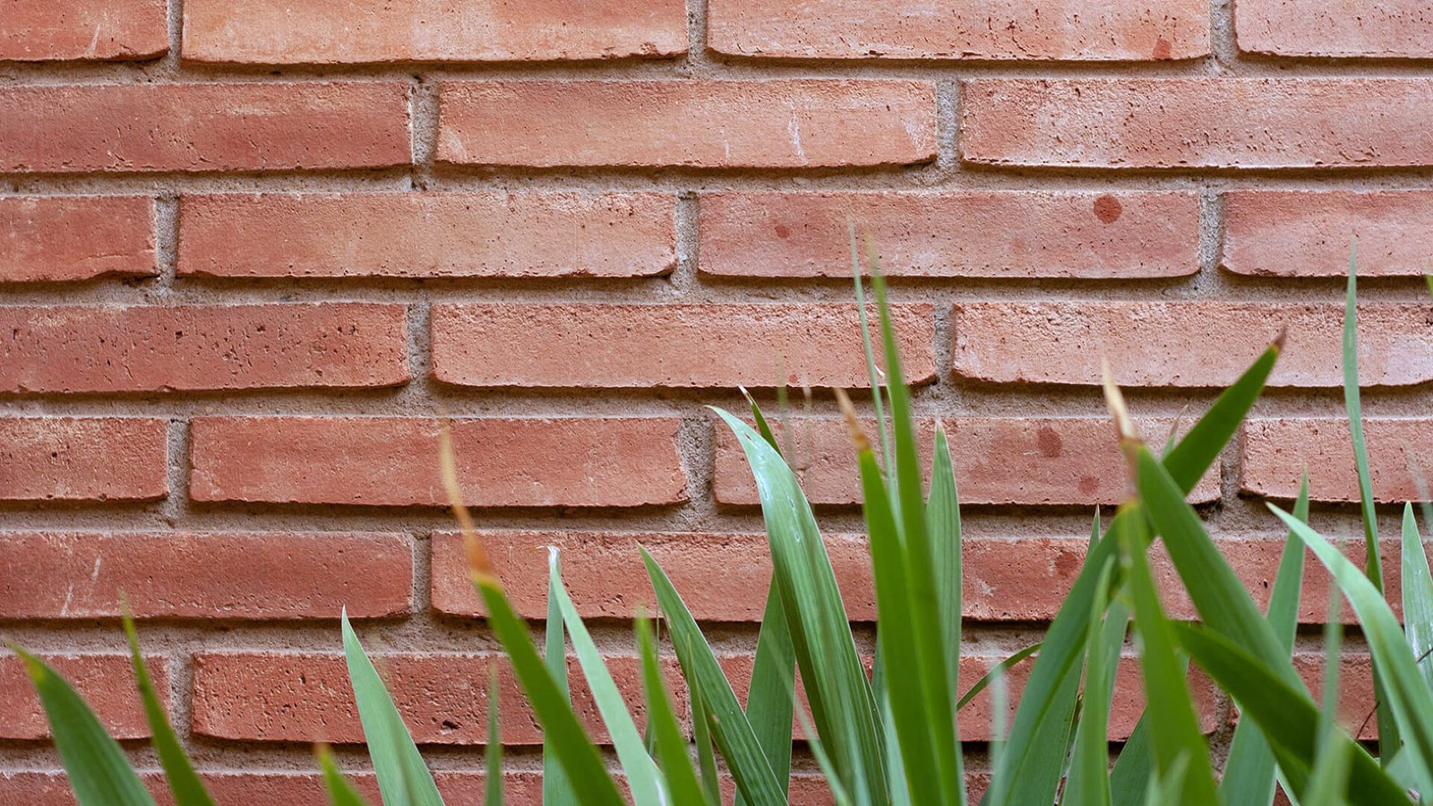 Έξυπνα τούβλα και κεραμίδια για σπίτια με θερμομόνωση και οικονομία.