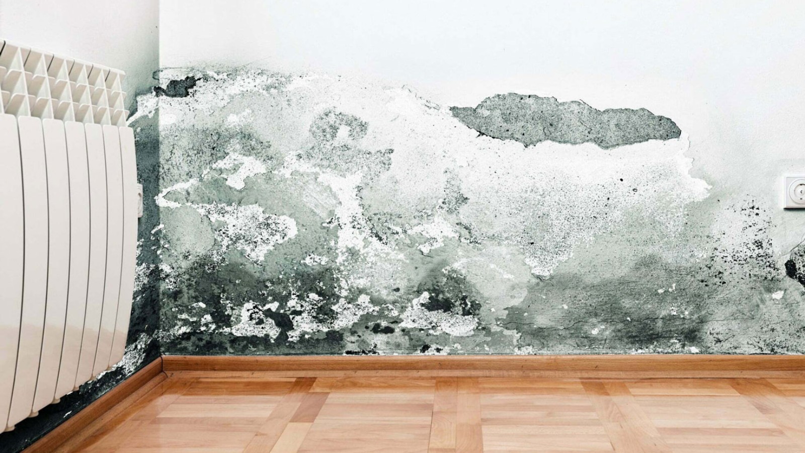 Mούχλα στο σπίτι: Σοβαρό πρόβλημα υγρασίας - Δες λύσεις (video)