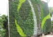 Οι πράσινοι τοίχοι προσφέρουν επιπρόσθετα οπτική απομόνωση, μπορούν να κοστίσουν λιγότερο και δεν απαιτούν πολύ χώρο, συντήρηση και περιποίηση.