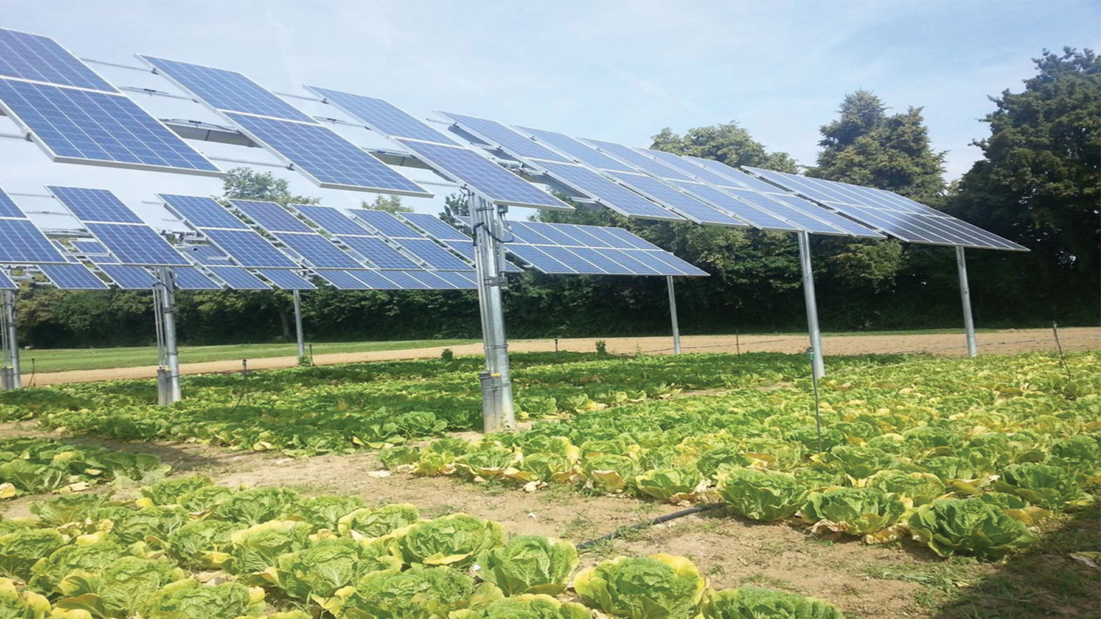 Αγροτικά Φωτοβολταϊκά: Οδηγός για εγκατάσταση, επιδοτήσεις και οικονομικό όφελος  