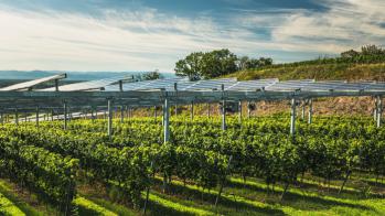 �������� �/�: ������� 4 ������� � ��������� ������