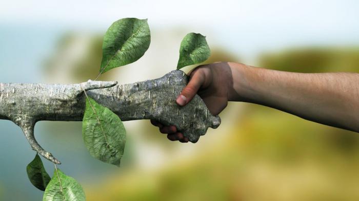 Στο 4green.gr βρήκαμε και σου προτείνουμε 3+1 τρόπους για να γλιτώσεις λεφτά τώρα, εν μέσω ενεργειακής κρίσης, αλλά και να προστατεύσεις το περιβάλλον. 