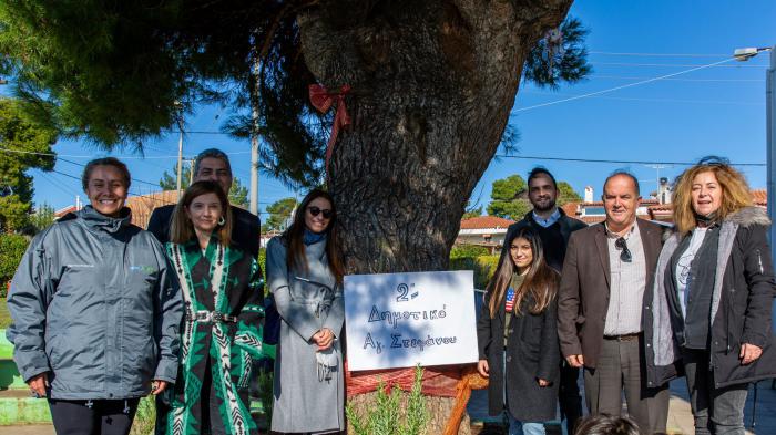 Το συγκεκριμένο εκπαιδευτικό πρόγραμμα εντάσσεται στον κύκλο ενεργειών «Gerolymatos Green Academy».