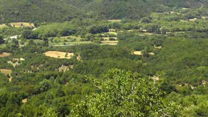 28 δήμοι δεν έχουν ενσωματώσει στοιχεία στους δασικούς χάρτες