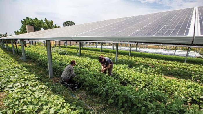 Αγροτικά Φωτοβολταϊκά: Οδηγός για εγκατάσταση, επιδοτήσεις και οικονομικό όφελος 