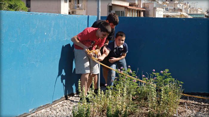 Σχολικοί «πνεύμονες»  πρασίνου 