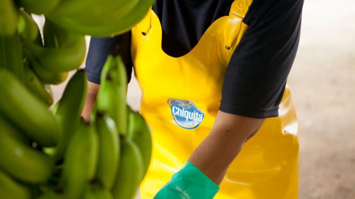 Η Chiquita επιτυγχάνει τους στόχους Βιώσιμης Ανάπτυξης του ΟΗΕ και δεσμεύεται για έναν βιώσιμο πλανήτη