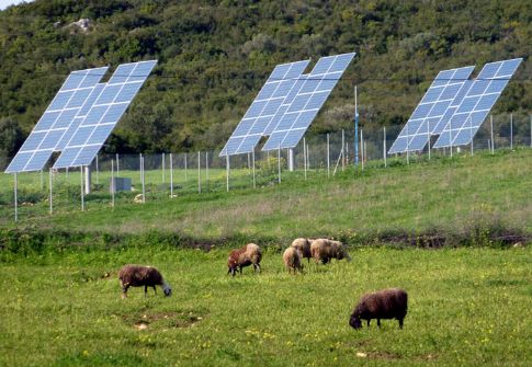 Αγροτικά Φωτοβολταϊκά: 3μηνη παράταση από τη ΔΕΗ