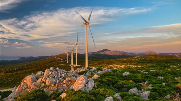 Νέα έκθεση για τις Ανανεώσιμες Πηγές Ενέργειας & τη Βιοποικιλότητα από το Διεθνή Οργανισμό Διατήρησης της Φύσης