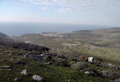 Προγραμματική συμφωνία μεταξύ ΚΑΠΕ και Δήμου ¶ι-Στρατή για το «πράσινο νησί»