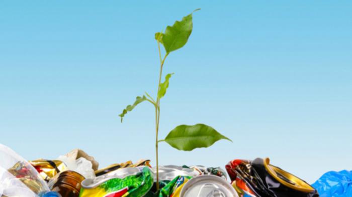 Το ζήτημα της διαχείρισης τόσο των βιοαποδομήσιμων αποβλήτων όσο και των βιοαποβλήτων, αποτελεί σημείο-κλειδί για την διαχείριση των στερεών αποβλήτων και προϋποθέτει αλλαγή κοινωνική και οικονομική.