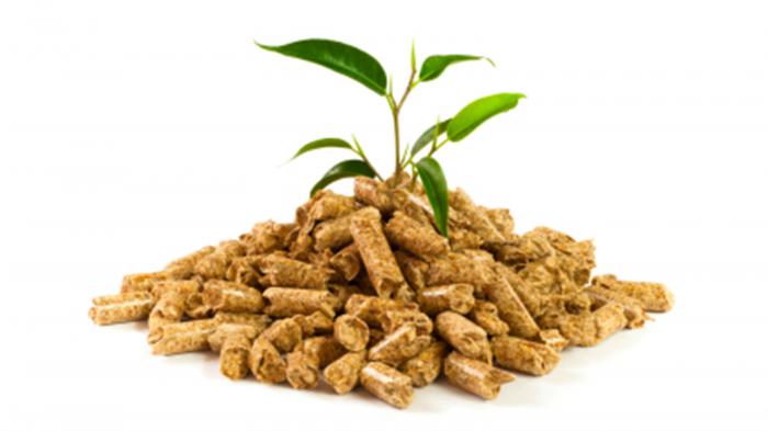 Τα pellets αποτελούν ένα οικολογικό και οικονομικό καύσιμο.