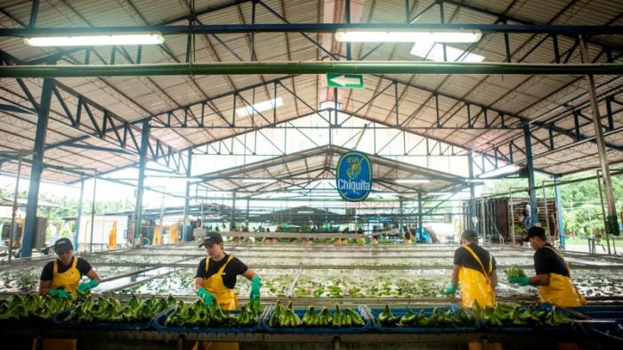 Η Chiquita γιορτάζει την Παγκόσμια Ημέρα Νερού με πρωτοβουλίες εξοικονόμησης των υδάτινων πόρων 