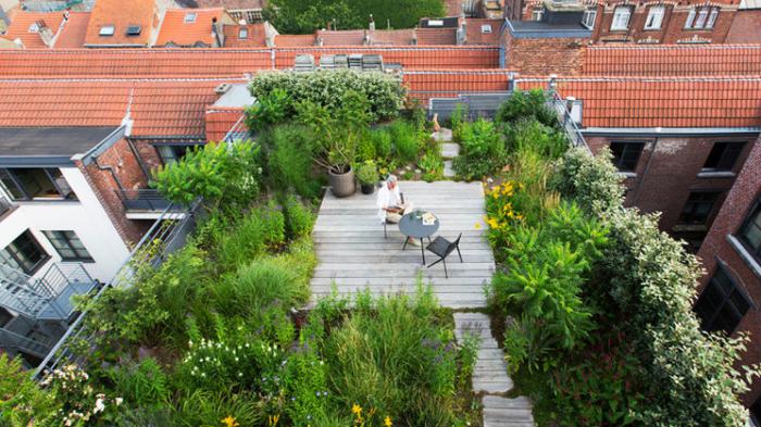 Τα οφέλη ενός roof garden στην ταράτσα σου
